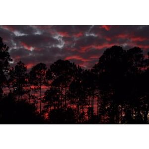 Meet your Posher, Chase